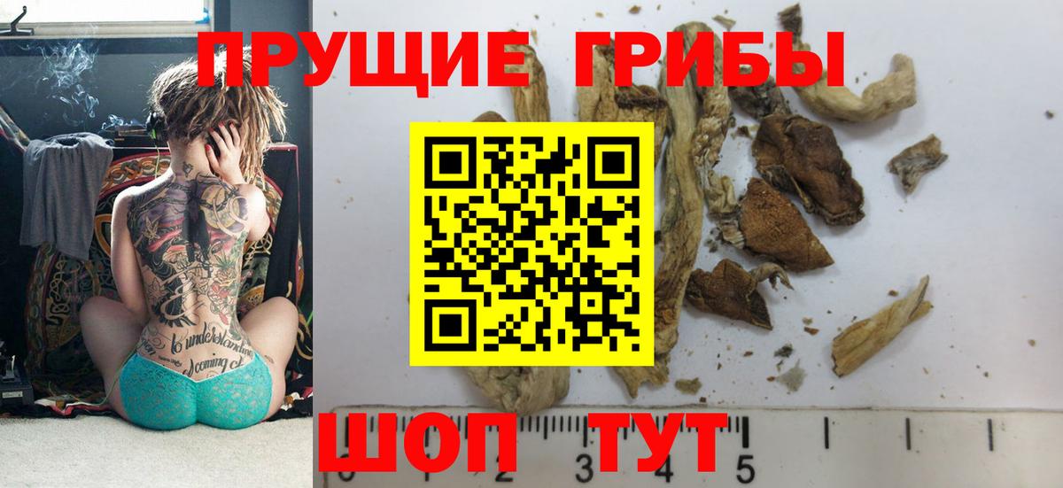 Псилоцибиновые грибы Psilocybe  Вход с VPN  Междуреченск  Галлюциногенные грибы GOLDEN TEACHER 